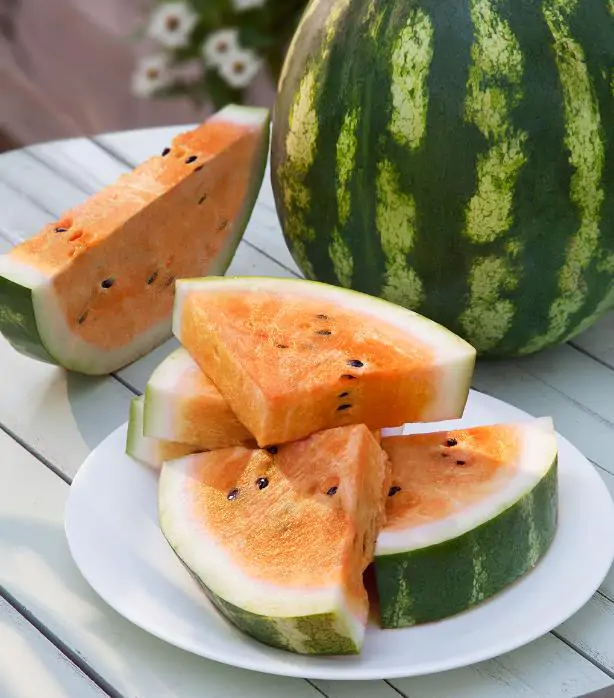 Citrullus lanatus Clay County Yellow Meat - Melancia Polpa Amarela do Condado de Clay, Melancia Amarelo Laranja do Alabama