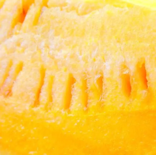 Citrullus lanatus Desert King - Melancia Rei do Deserto, Melancia doce de polpa amarela, Melancia Desert King - Imagem 2