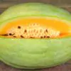 Citrullus lanatus Desert King - Melancia Rei do Deserto, Melancia doce de polpa amarela, Melancia Desert King