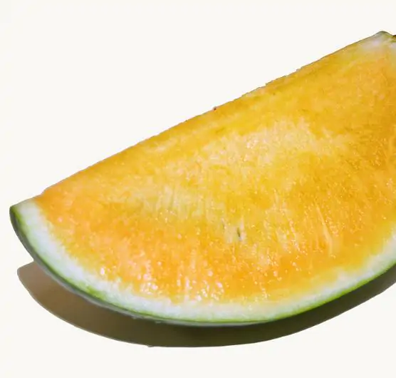 Citrullus lanatus Janosik - Melancia Janosik, Melancia de Polpa Amarelo Ouro Polonesa, Melancia Amarela - Image 4