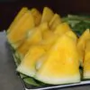 Citrullus lanatus Janosik - Melancia Janosik, Melancia de Polpa Amarelo Ouro Polonesa, Melancia Amarela