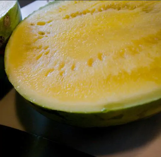 Citrullus lanatus Janosik - Melancia Janosik, Melancia de Polpa Amarelo Ouro Polonesa, Melancia Amarela - Image 8