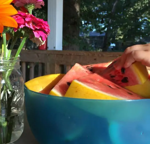 Citrullus lanatus Golden Midget - Mini Melancia Casca Amarela - Imagem 3