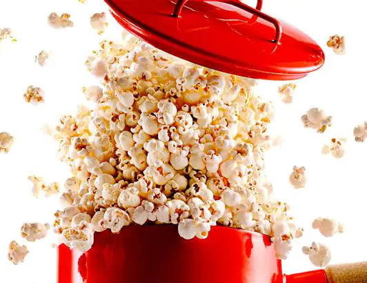 Zea Mays Mini Pink Popcorn (C.O) - Milho De Pipoca Baby Pink, Mini Milho De Pipoca Rosa - Image 3