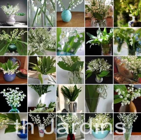 Convallaria majalis - Lirio do Vale, Muguet, Lírio de Maio, Lily of the Valley - Image 5
