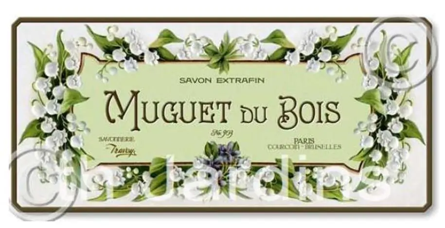 Convallaria majalis - Lirio do Vale, Muguet, Lírio de Maio, Lily of the Valley - Imagem 8