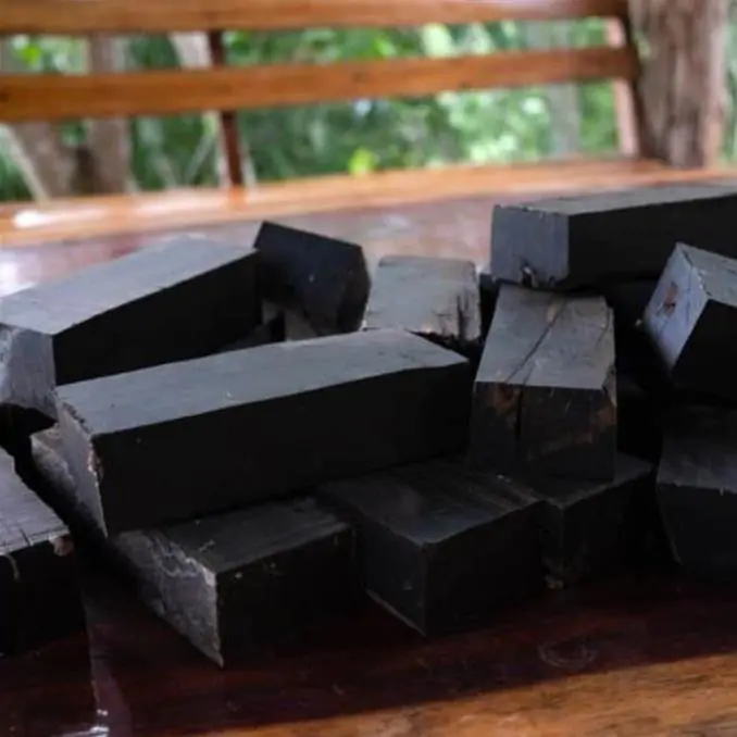 Dalbergia melanoxylon - Ébano Negro, Ebony Africano, Mpingo, African Blackwood, Árvore da Música - Imagem 10