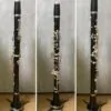 Dalbergia melanoxylon - Ébano Negro, Ebony Africano, Mpingo, African Blackwood, Árvore da Música - Image 12