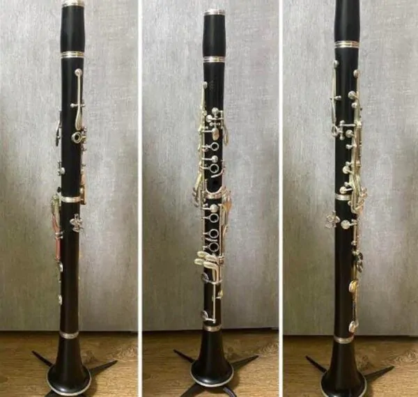 Dalbergia melanoxylon - Ébano Negro, Ebony Africano, Mpingo, African Blackwood, Árvore da Música - Image 12