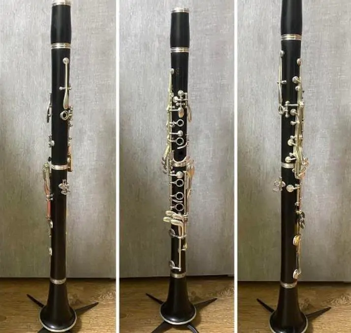 Dalbergia melanoxylon - Ébano Negro, Ebony Africano, Mpingo, African Blackwood, Árvore da Música - Imagem 12