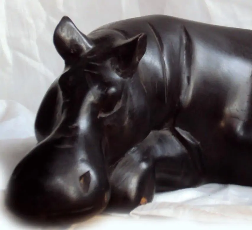 Dalbergia melanoxylon - Ébano Negro, Ebony Africano, Mpingo, African Blackwood, Árvore da Música - Imagem 13