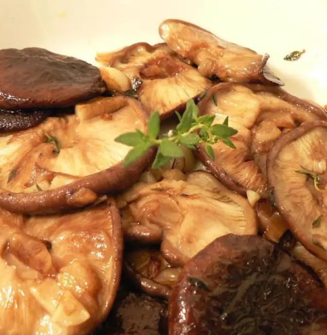 Thymus (Kit com 4 variedades) - Tomilho, Timo (Kit com 4 variedades) - Imagem 14