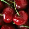 Prunus avium 'Bing' + Prunus avium 'Rainier' - Cereja Doce, Cereja de Natal - Image 2