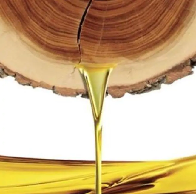 Santalum spicatum - Sândalo, Sândalo Australiano, Sandalwood, Quandong - Imagem 2