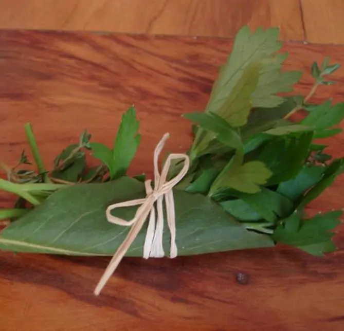 Thymus praecox - Tomilho Rastejante, Gramado Tomilho, Grama Aromática, Tomilho Mãe, Mother of Thy - Imagem 9