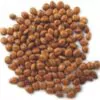Cassia javanica ssp. Nodosa - Cassia Flor de Maçã, Cassia Rosa, Cassia Javanesa, Cássia Chuveiro de Java - Image 9