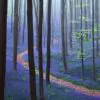 Hyacinthoides non-scripta - Bluebells, Sino das Estrelas, Sino das Fadas, Flor de Fadas, Jacinto Selvagem En - Image 5