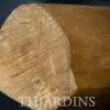Santalum album - Sândalo Indiano - Image 8