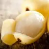 Sclerocarya birrea ssp. Caffra - Marula, Amarula, Árvore fruto do licor de Amarula