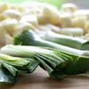Allium ampeloprasum Porrum Geant De Suisse - Alho Poró gigante da Suíça, Alho-Poró gigante Suíço verão precoce, Alho Porro gi