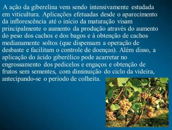 Ácido Giberélico - Giberelina - GA3 (+90%) - GA3 - Ácido Giberélico - Hormônio Vegetal - Imagem 6