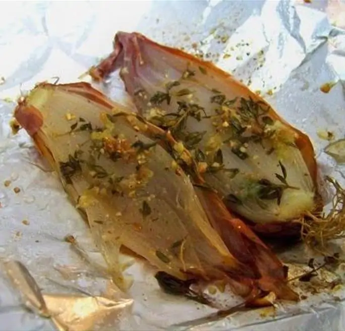 Allium cepa 'Cuisse de Poulet' Echalion (Allium ascalonicum) - Chalota Francesa, Échalote, Shallot - Imagem 6