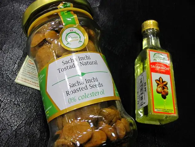 Plukenetia volubilis - Sacha Inchi, Amendoa Inca, Amendoa Lopo - Imagem 9