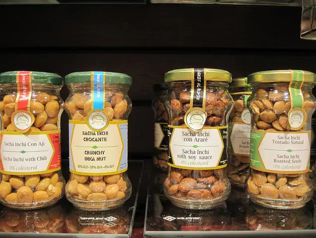 Plukenetia volubilis - Sacha Inchi, Amendoa Inca, Amendoa Lopo - Imagem 10