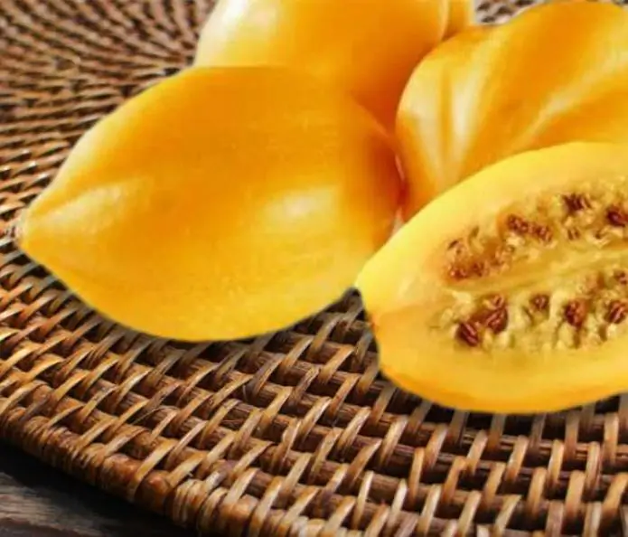 Carica pubescens Cobquecura (Vasconcellea pubescens Cobquecura) - Mamão Papaia Cobquecura, Mamão do Chile, Mamão de Cobquecura - Imagem 2