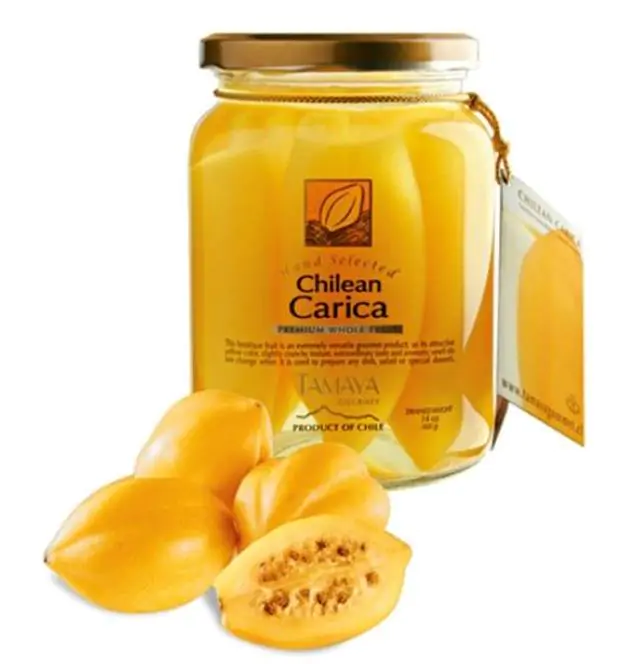 Carica pubescens Cobquecura (Vasconcellea pubescens Cobquecura) - Mamão Papaia Cobquecura, Mamão do Chile, Mamão de Cobquecura - Imagem 9