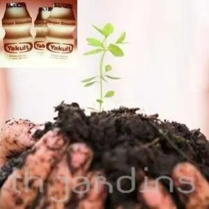 MYCORRHIZAE - MYCOGROW SOLUBLE  - MICORRIZAS