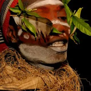 Tabernanthe iboga - Iboga, Árvore da Sabedoria, Árvore do Conhecimento, Ibogaina