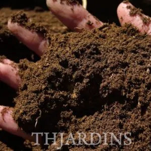 TURFA CANADENSE + PERLITA - SUBSTRATO PARA GERMINAÇÃO