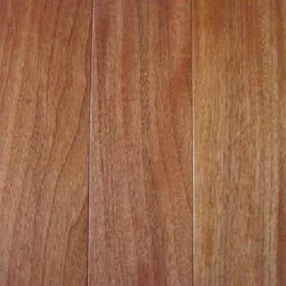 Chukrasia tabularis - Cedro Branco, Mogno Indiano, Sequoia Indiana, Amêndoa da Birmânia - Imagem 11