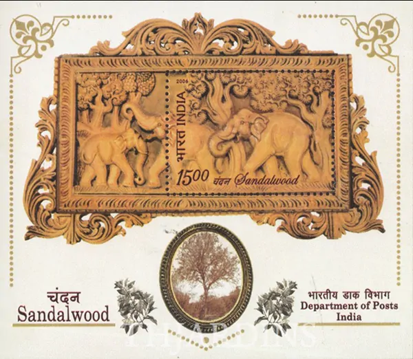 Santalum album - Sândalo Indiano