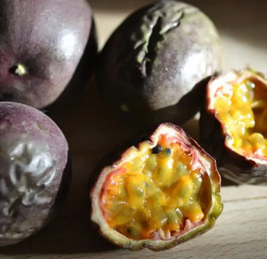 Passiflora Edulis F. Edulis - Maracujá roxo, gulupa, chulupa, maracujá roxo doce - Imagem 8