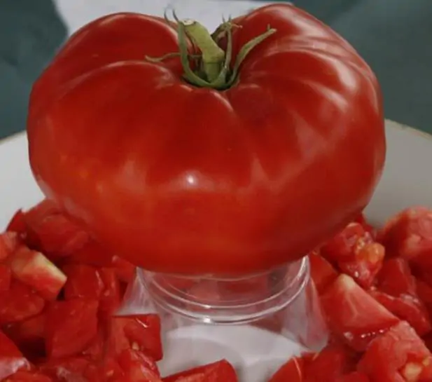 Solanum lycopersicon Gigante Liscio (Nova seleção com Certificação Orgânica) - Tomate Gigante Liscio (Nova Seleção) - Imagem 2