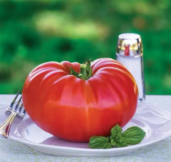 Solanum lycopersicon Gigante Liscio (Nova seleção com Certificação Orgânica) - Tomate Gigante Liscio (Nova Seleção) - Imagem 5