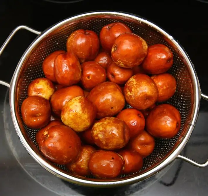 Ziziphus jujuba - Jujuba Chinesa, Jujubeira, Tâmara Vermelha, Tâmara Chinesa - Imagem 10