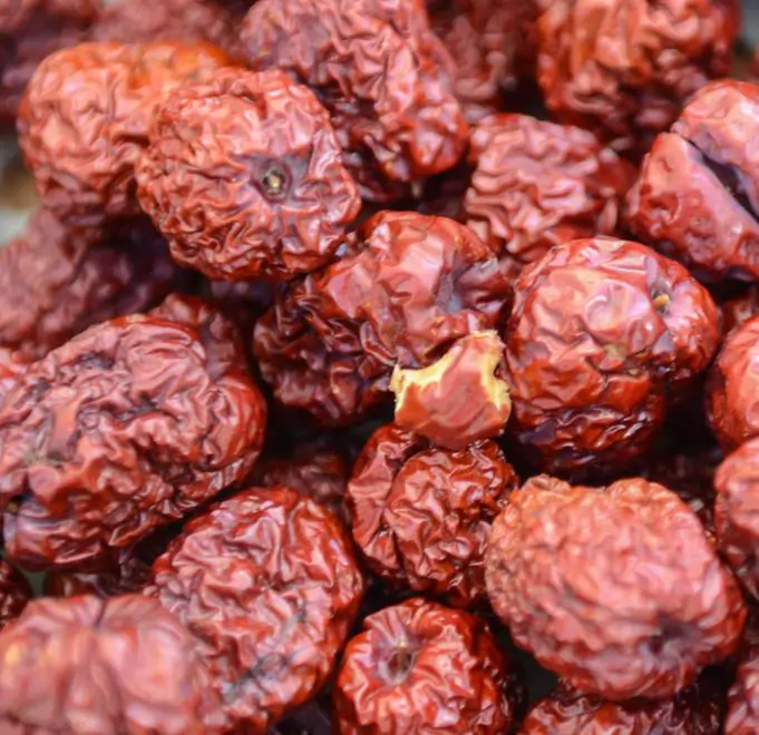 Ziziphus jujuba - Jujuba Chinesa, Jujubeira, Tâmara Vermelha, Tâmara Chinesa - Imagem 12